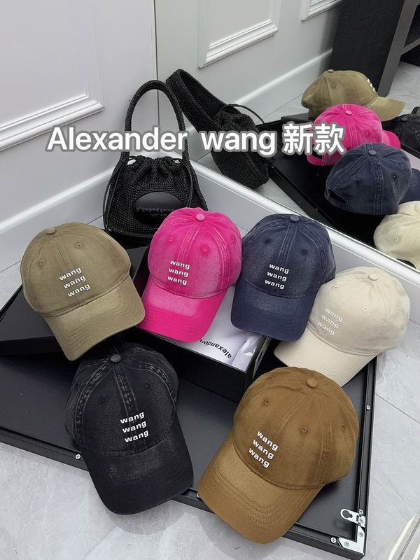 Alexander Wang cap (1)